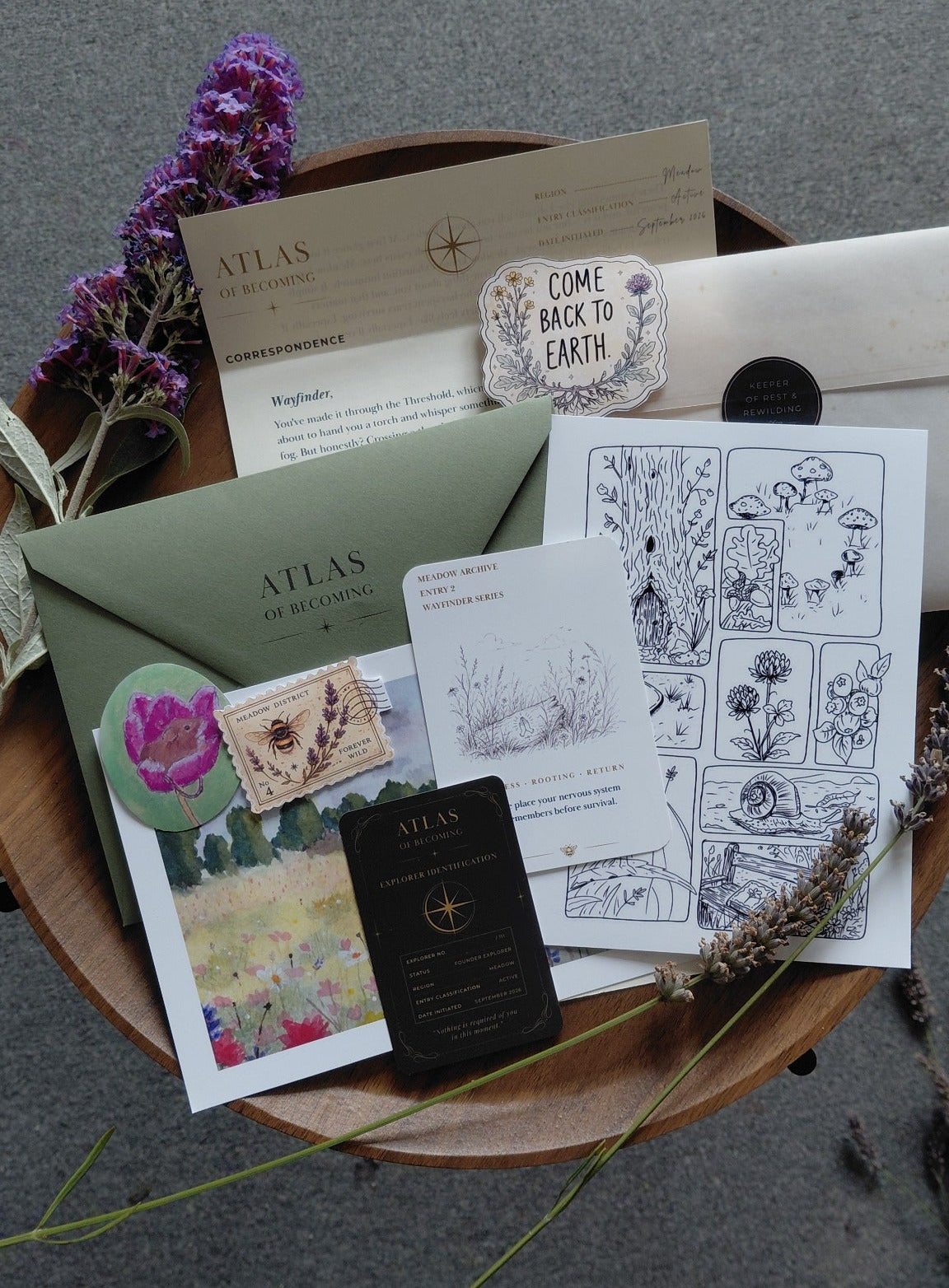 The Meadow Archive Dispatch from Atlas of Becoming, arranged in a green botanical flat lay